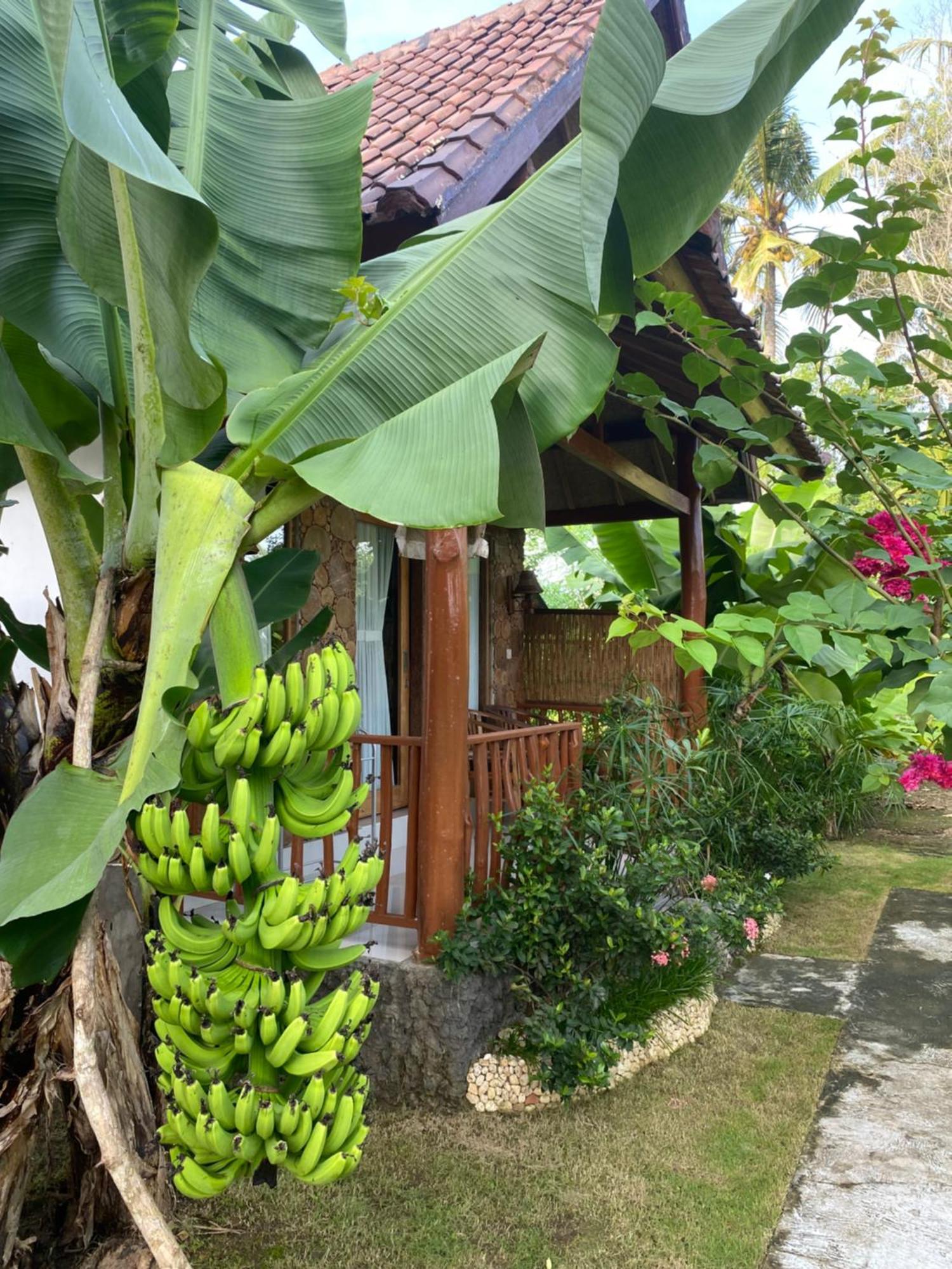 Grealeen Cottages Ped Exterior photo